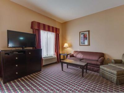 Hotel Hampton Inn & Suites Las Cruces I-25 - Bild 4