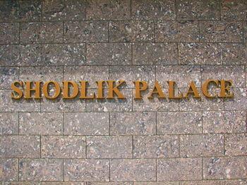 Shodlik Palace Hotel - Bild 4