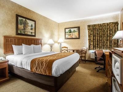 Hotel Comfort Inn & Suites Macon - Bild 5