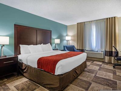 Hotel Comfort Inn & Suites Newark Fremont / Silicon Valley - Bild 4