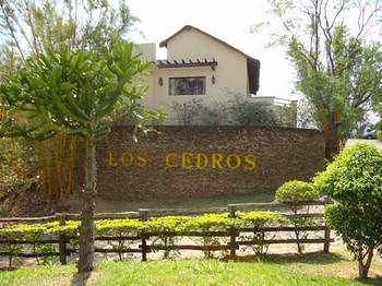 Hotel Los Cedros Eco Resort - Bild 2