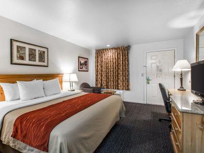 Hotel Comfort Inn & Suites Sequoia Kings Canyon - Bild 5