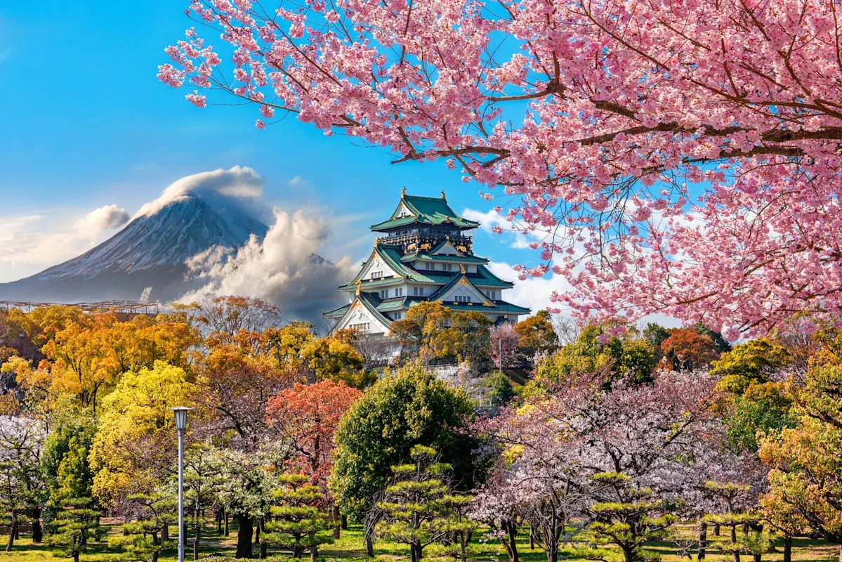 Teaser-Japan