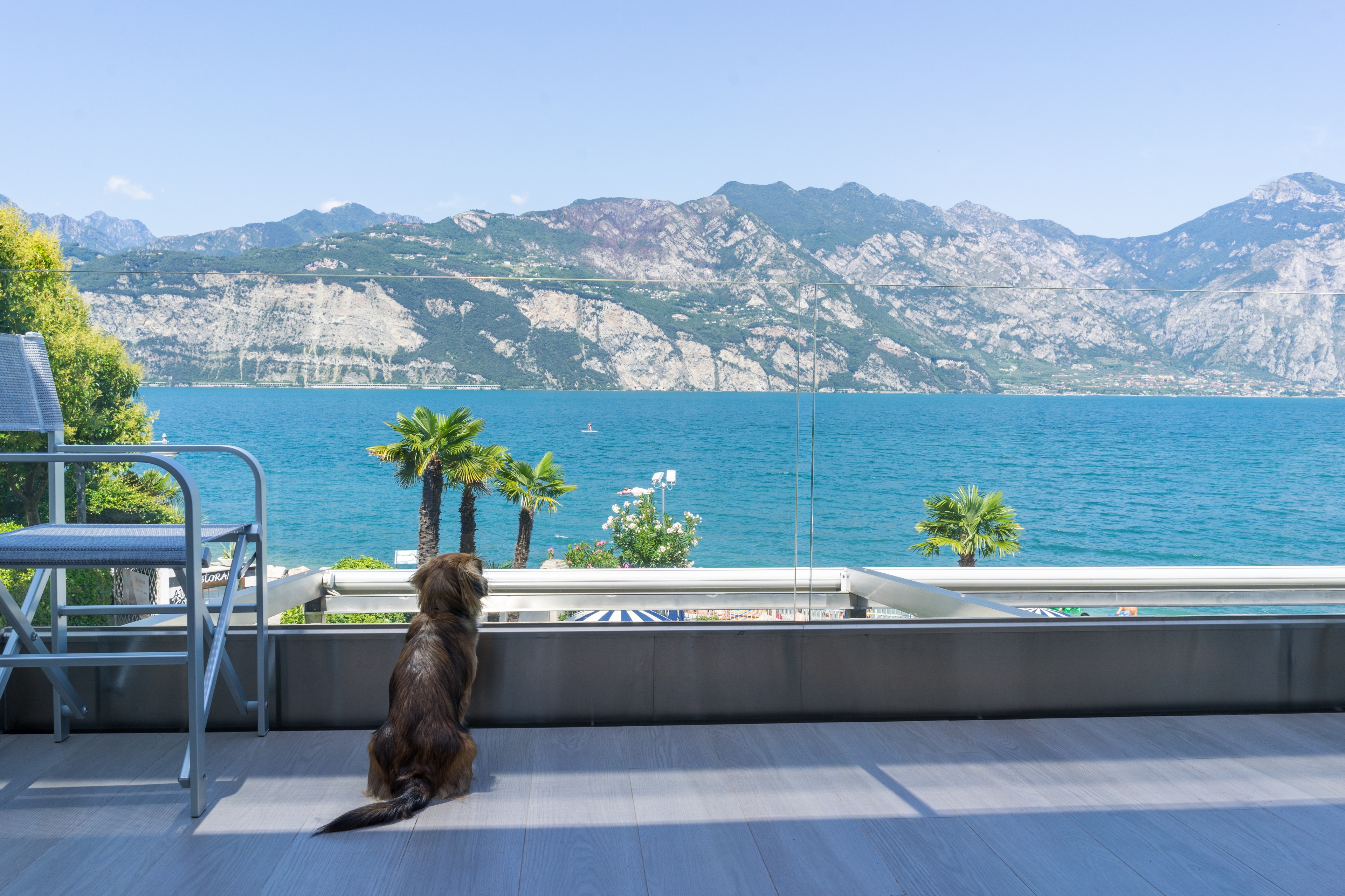 Gardasee: Dolce Vita auf vier Pfoten