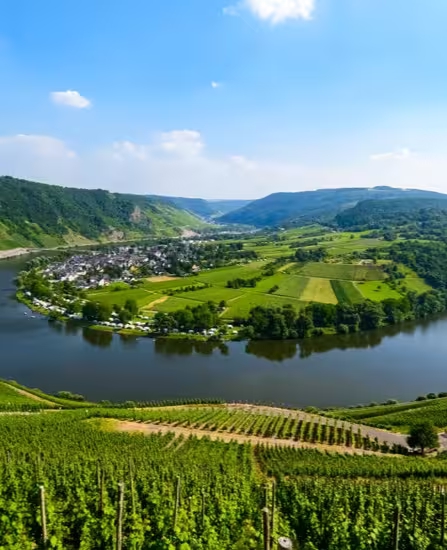 Mosel