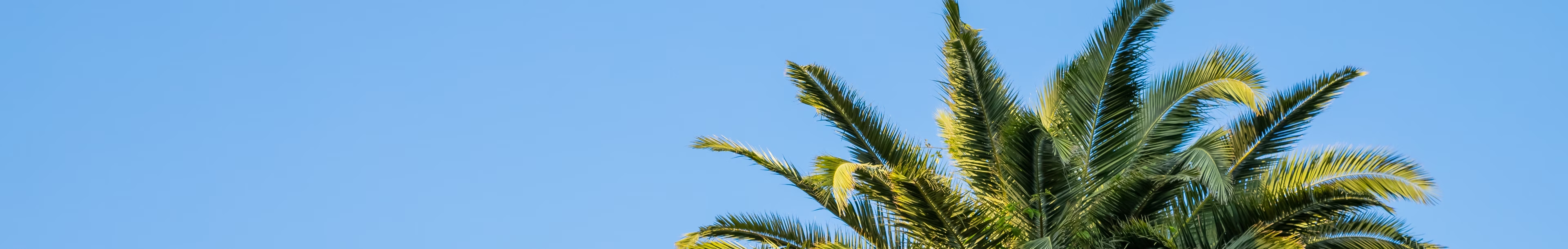 Frühbucher Vorteile sichern