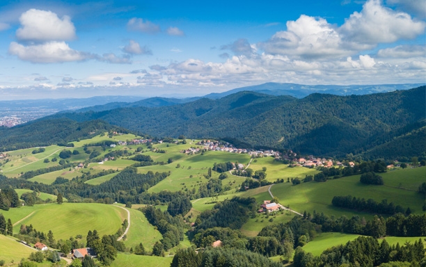 Schwarzwald