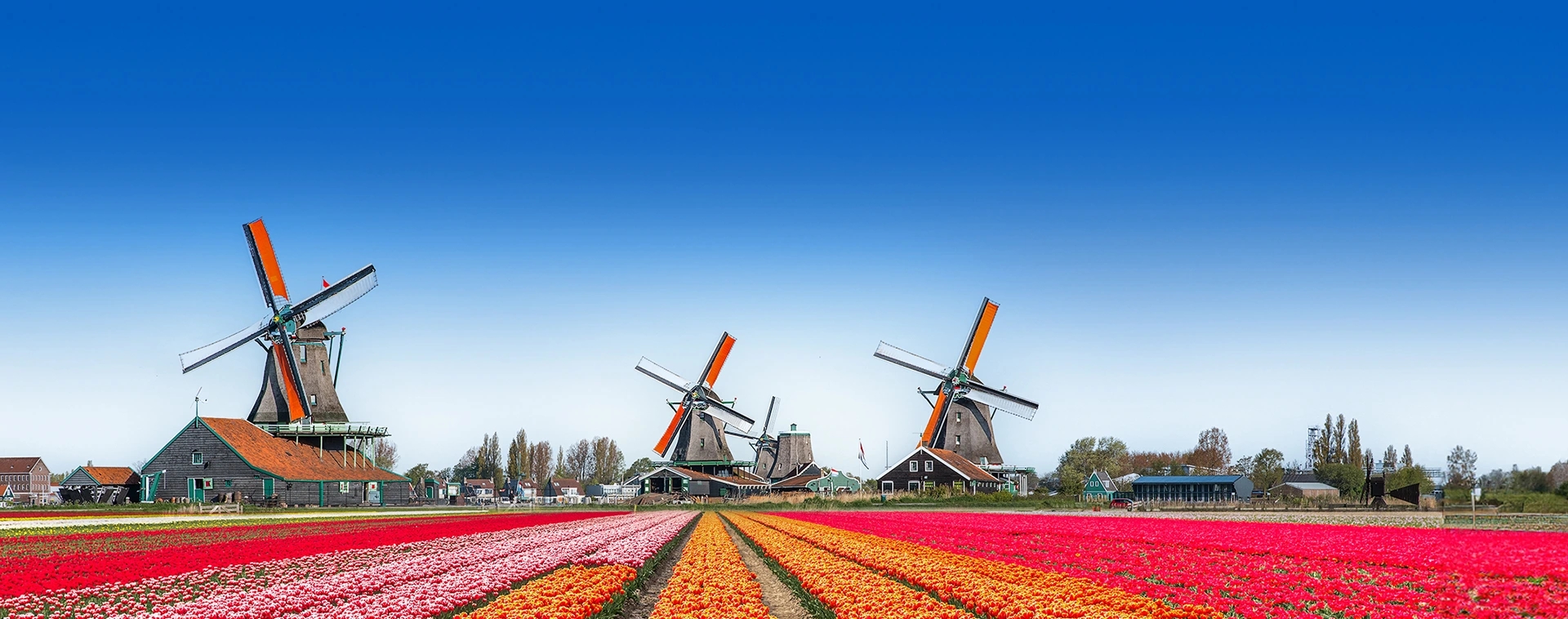 Flug nach Niederlande buchen