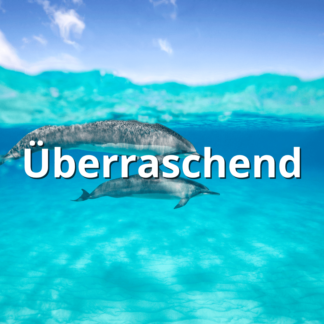 Zwei Delfine schwimmen unter Wasser in klarem, türkisfarbenem Meer, darüber steht das Wort ‚Überraschend‘.