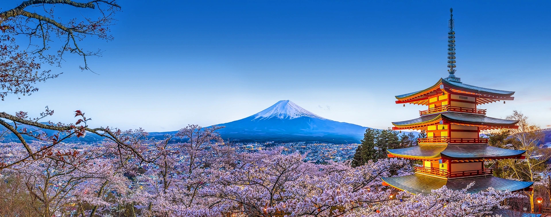 Flug nach Japan buchen