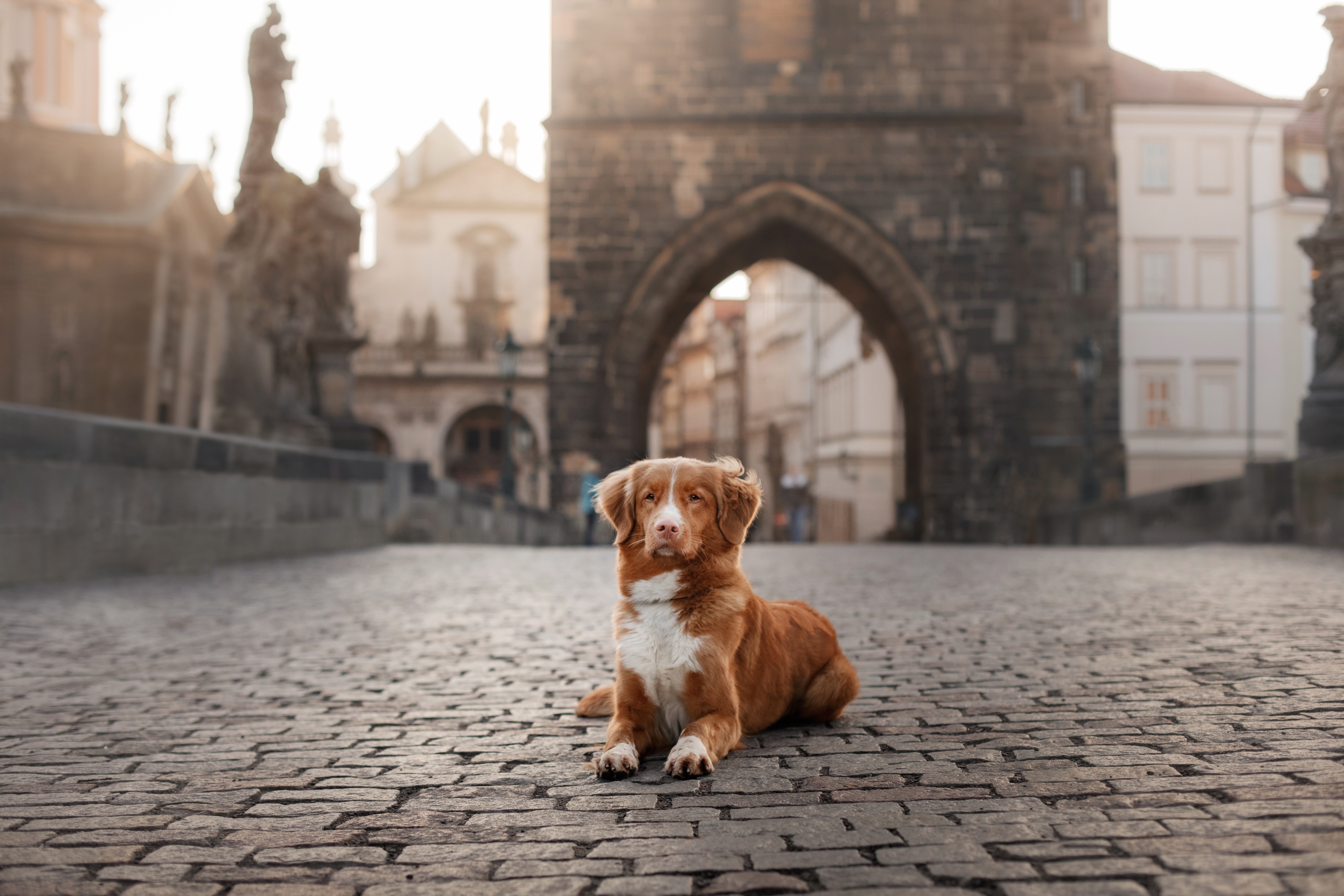 Prag