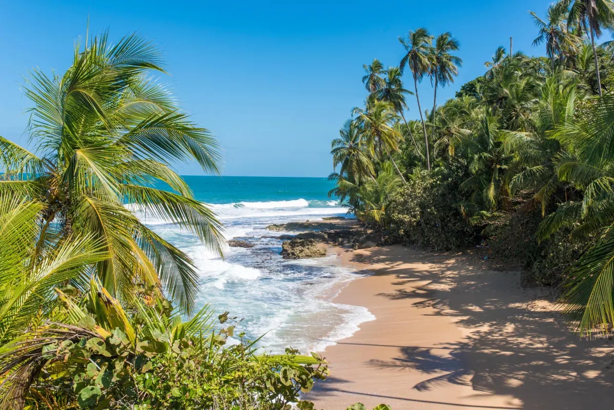 Teaser-Costa Rica
