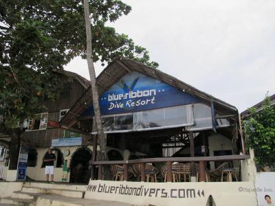 Hotel Blue Ribbon Dive Resort - Bild 2
