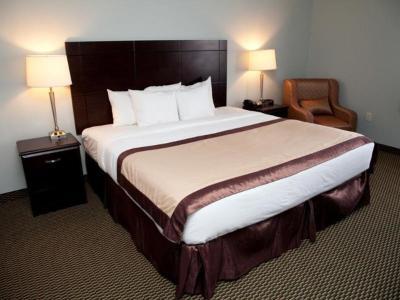Hotel Baymont by Wyndham Rapid City - Bild 5