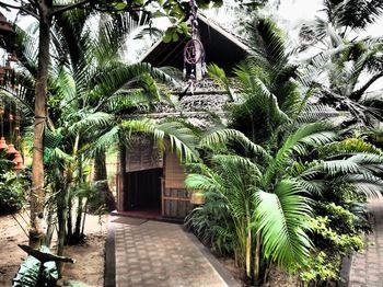 Hotel The Palm Trees Resort - Bild 5