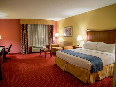 Hotel Holiday Inn Rocky Mount - US 64 & I-95 - Bild 5