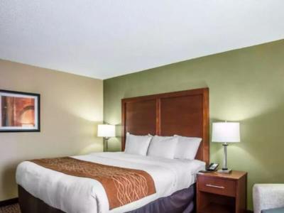 Hotel Comfort Inn & Suites Kannapolis - Concord - Bild 3
