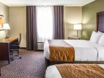 Hotel Comfort Inn & Suites Kannapolis - Concord - Bild 2