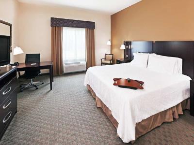 Hotel Hampton Inn & Suites Dumas - Bild 4