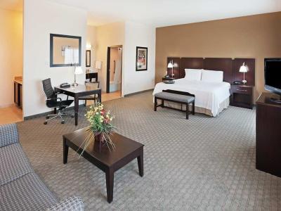 Hotel Hampton Inn & Suites Dumas - Bild 3