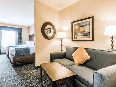 Hotel Comfort Suites Pell City - Bild 5