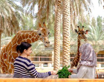 Hotel Emirates Park Zoo & Resort - Bild 2