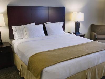 Hotel Holiday Inn Express & Suites Chicago West-O'Hare Airport Area - Bild 5