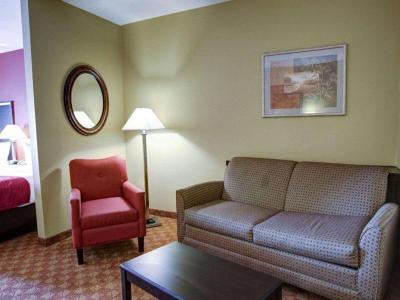 Hotel Comfort Suites Spring - Bild 5