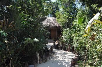 Jolie Jungle Eco Hotel - Bild 4