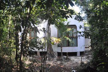 Jolie Jungle Eco Hotel - Bild 3