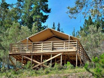 Ingwe Forest Cabins & Adventures