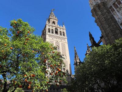 Las Casas de La Juderia de Sevilla