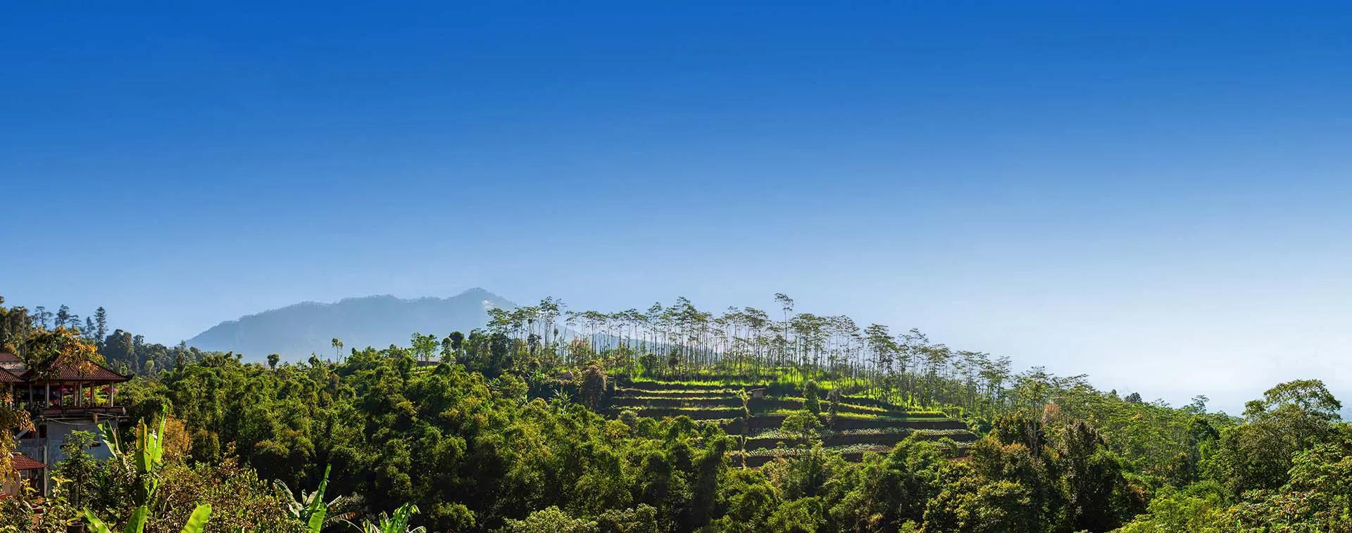 Urlaub Ubud