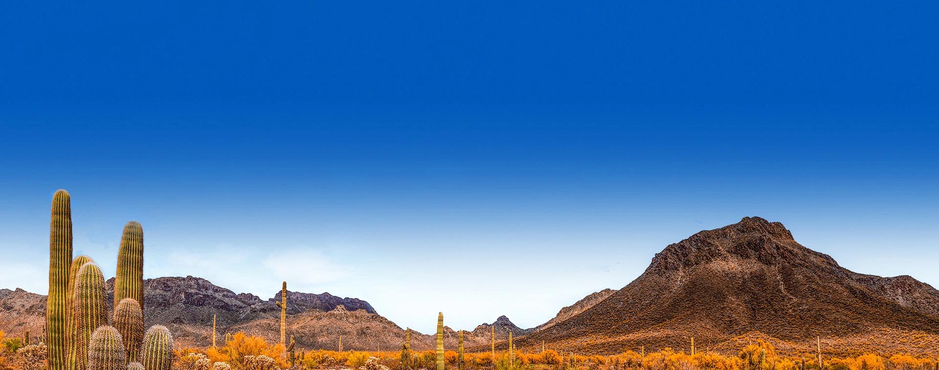 Urlaub Arizona