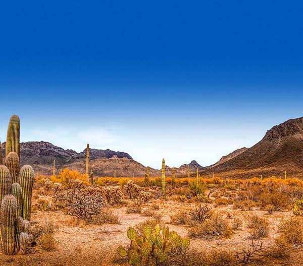 Urlaub Arizona