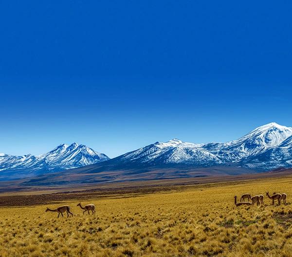 Urlaub Chile