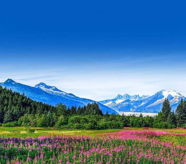 Hotels Alaska