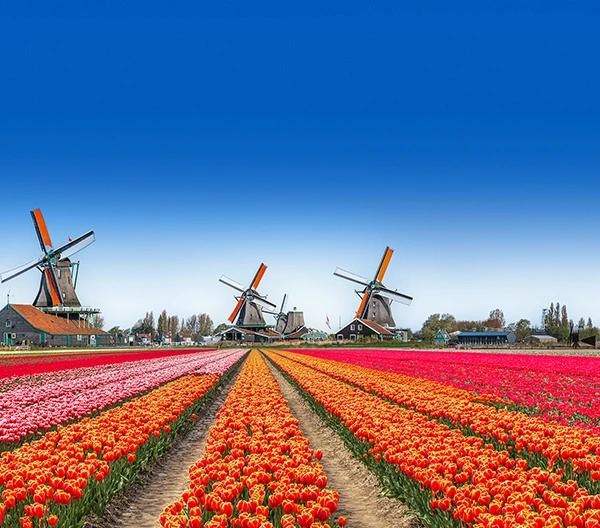 Hotels Niederlande