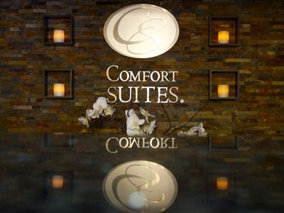 Hotel Comfort Suites Denver Tech Center - Bild 3