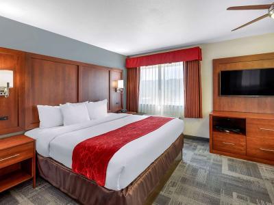 Hotel Comfort Suites Denver Tech Center - Bild 5