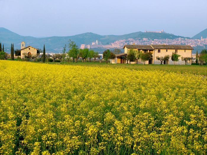Hotel Valle di Assisi Spa & Golf - Bild 1