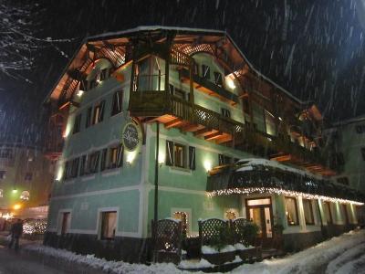 Hotel Alpina - Bild 5