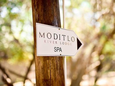 Hotel Moditlo River Lodge - Bild 2