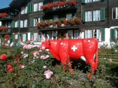 Hotel Chalet Swiss - Bild 5