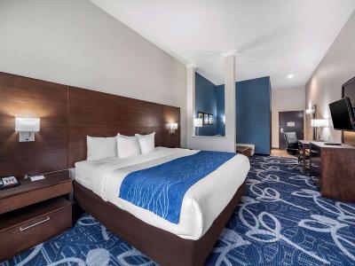 Hotel Comfort Inn & Suites Oklahoma City South I-35 - Bild 5