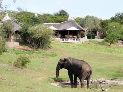 Hotel Amakhala Game Reserve - Bild 4