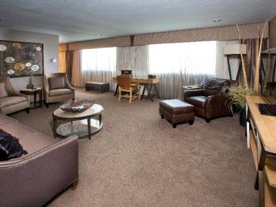 Hotel Holiday Inn Sioux Falls-City Centre - Bild 3