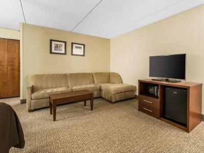 Hotel Comfort Inn & Suites Denver Northfield - Bild 5