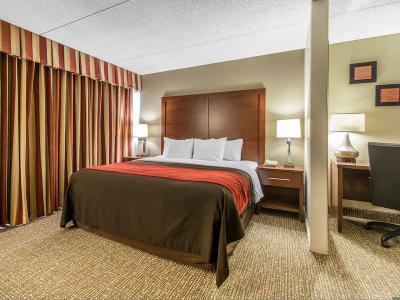 Hotel Comfort Inn & Suites Denver Northfield - Bild 3