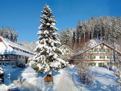 Hotel Allgau Residenz Natur & Spa - Bild 5